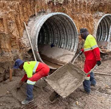 BR-262 recebe novas passagens subterrâneas para reduzir atropelamentos de animais silvestres