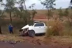 Tragédia na BR-262 expõe falta de infraestrutura para proteção da fauna